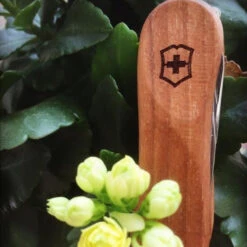 Victorinox Nail Clip 580 - Walnut -Camping And Hiking 0.6461.63 5 600x600 5830c94e 67cf 474d b2ba 9efa7ef6d0f0