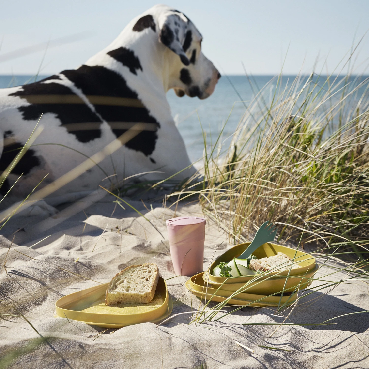 Light My Fire LunchKit BIO - Hazyblue 6 Light My Fire LunchKit BIO - Hazyblue - Image 4