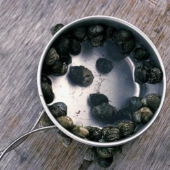 Snow Peak Titanium Personal Cookerset 9 Snow Peak Titanium Personal Cookerset -Camping And Hiking 5 f4a24d2b 74c1 4d6c b87f 1a2061f2d3b5