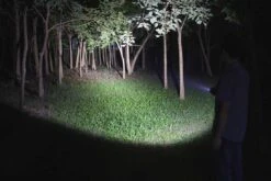 Fenix LD12 2017 Edition LED Flashlight 320 Lumens -Camping And Hiking Fenix LD12 Flashlight light beam