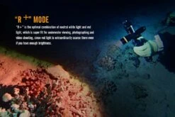 Fenix SD11 XM-L2 U2 Diving Photographic Light 17 Fenix SD11 XM-L2 U2 Diving Photographic Light -Camping And Hiking Fenix SD11 Diving Flashlight red plus mode