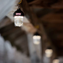 Barebones Beacon Kraft Packaging - Olive -Camping And Hiking LIV 297 5